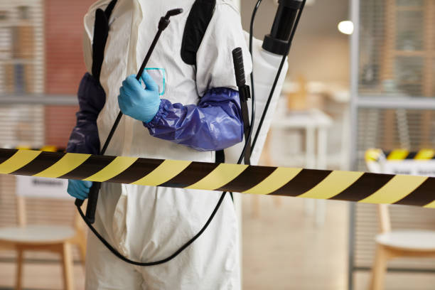 Professional Sewage Cleanup technician working in Stanford, CA